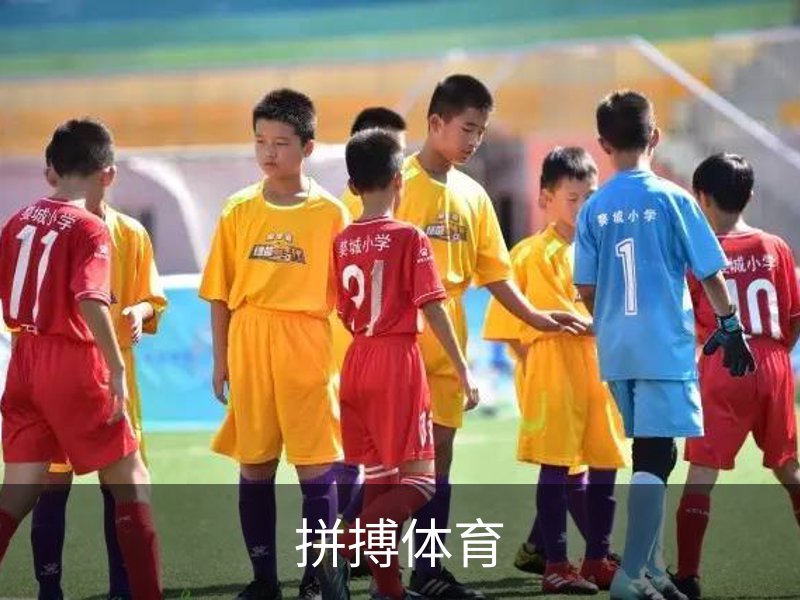 拼搏体育介绍