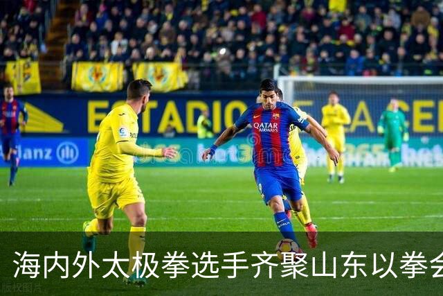 海内外太极拳选手齐聚山东以拳会友