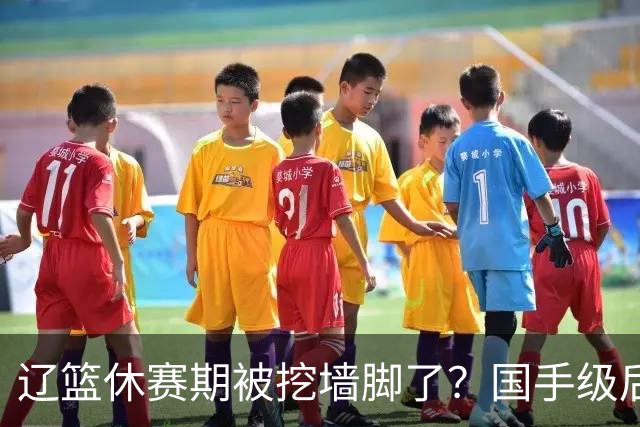 辽篮休赛期被挖墙脚了？国手级后卫恐被交易：变相逼着赵继伟走人